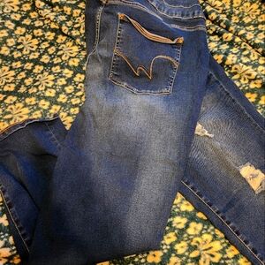 Wallflower size 22 ankle length denim